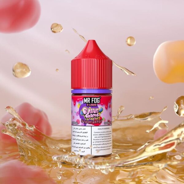 MR FOG Salt E-Liquid 30 ml 20 mg