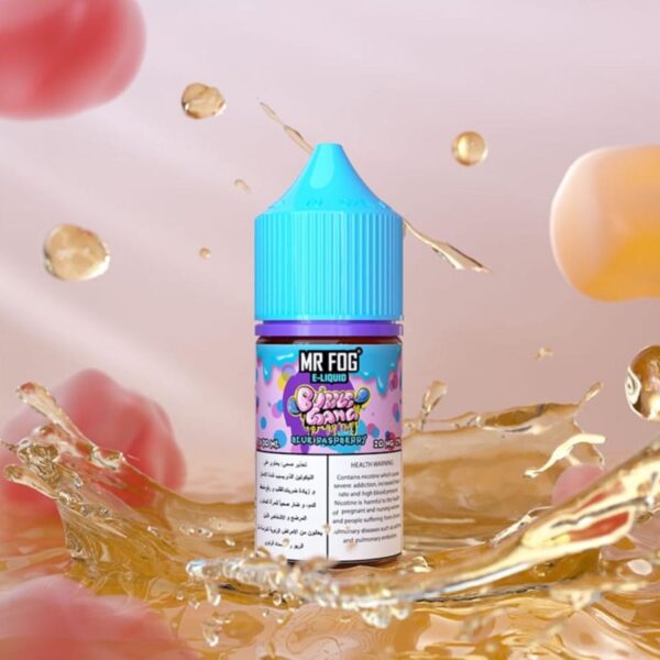 MR FOG Salt E-Liquid 30 ml 20 mg